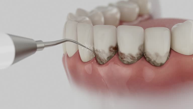 Reliable Dental contractor in Treasure Island, FL by Dentist Open Now